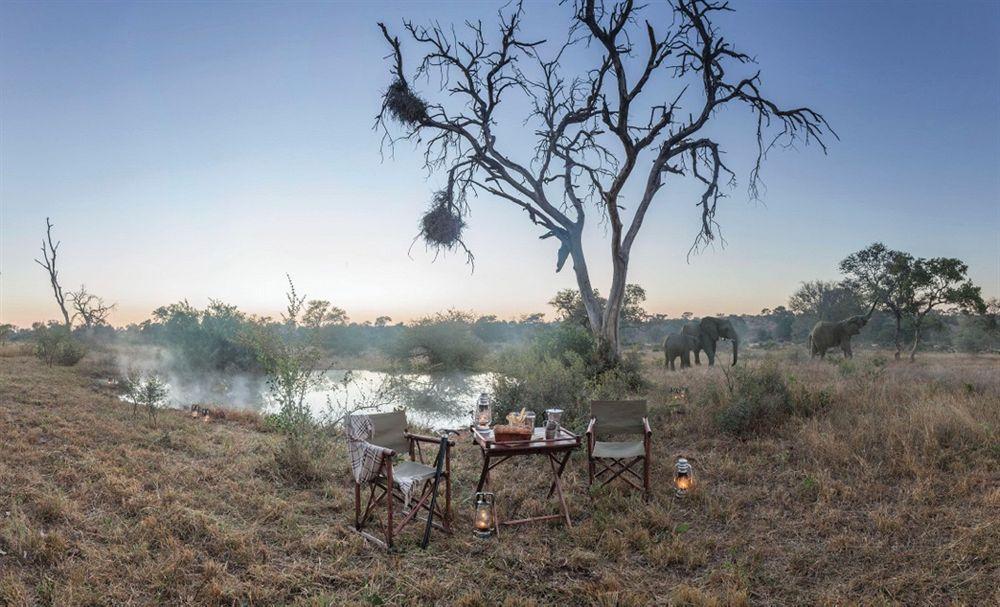 Kings Camp Private Game Reserve privé-wildreservaat Klaserie Buitenkant foto